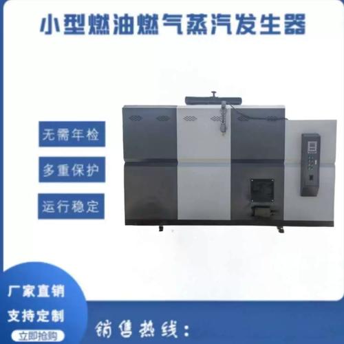 全自动72kW生物质蒸汽发生器 桥梁养护与水泥制品生产的理想选择